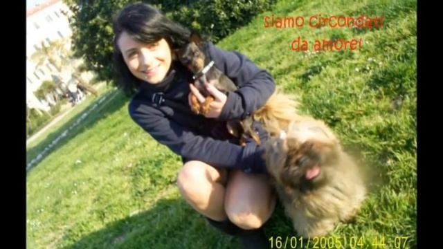 Si scrive CANE si legge AMORE Jako e Miky смотреть онлайн