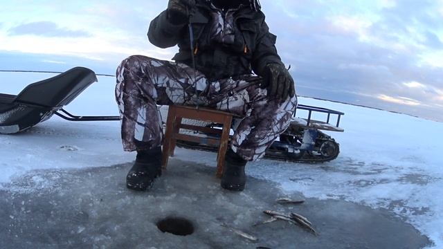 Рыбалка в АРКТИКЕ на РАЗМАХАЙКУ! Атака за атакой! Столько КОРЮШКИ я давно нелови (1) смотреть онлайн