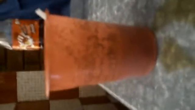Ж. пьёт колу с перце и солью ФУУУ смотреть онлайн