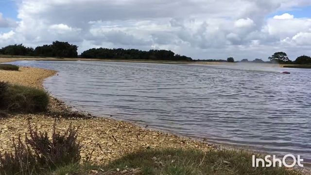 Custom Vector 80 Leopard 3674 2200kv 4s смотреть онлайн