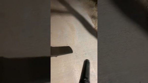 Echo battery handheld blower Demonstration