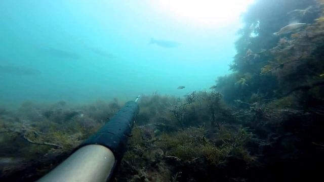 осень лобан смотреть онлайн