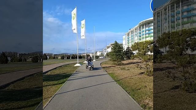 21 января.Сочи парк отель. смотреть онлайн