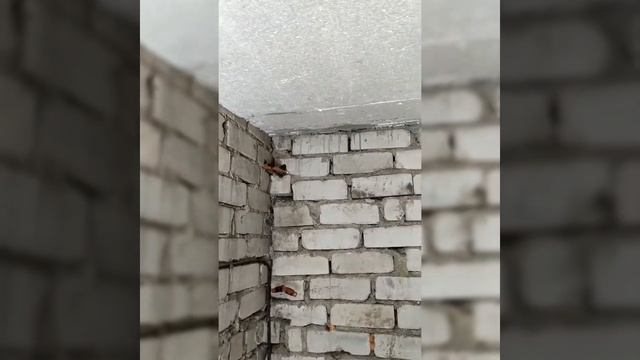 Приютил ласточек смотреть онлайн