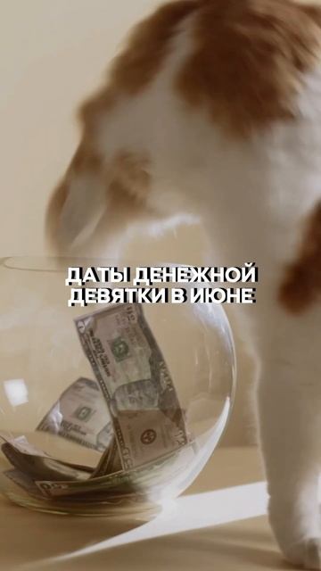 Даты денежной девятки в июне!#феншуй #психология #эзотерика #денежнаямагия #ритуалнасегодня смотреть онлайн