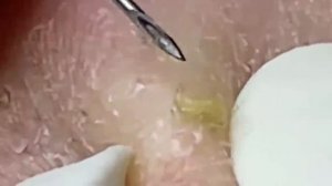 العناية بالبشرة الفاخرة اليومية للوجه مع وكالة ناسا #NASA3826