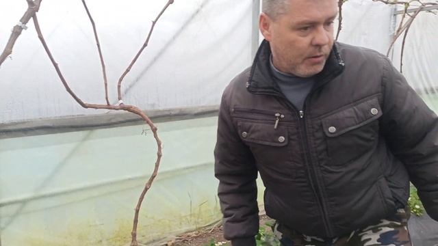 В ГОСТЯХ У СЕРГЕЯ ФЁДОРОВА, ТЕПЛИЦА! ТЕЛ.+79054033245,WhatsApp и Viber +79528500417. СЕРГЕЙ. смотреть онлайн