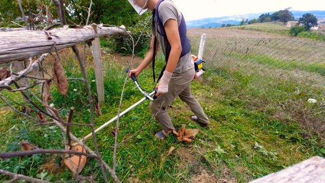 Bahçede Ki Kalın Otları Biçiyoruz Antrac Ant520B Benzinli Tırpan (#vlog)