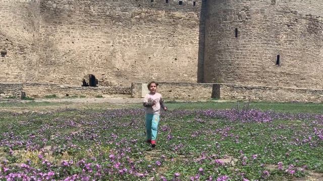 ЛЮБЛЮ Я ПЛАНЕТУ ЗЕМЛЯ