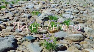 Песнь Ангела поет Анна Широченко
