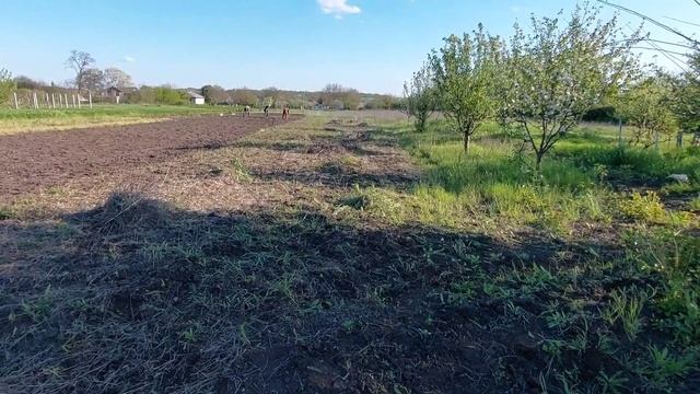 ЖАРИМ ШАШЛЫКИ.СЕГОДНЯ СНОВА САДИМСЯ. БУДНИ КРОЛИКОВОДА. 06.05.23 смотреть онлайн