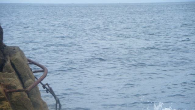 the 40 ft смотреть онлайн