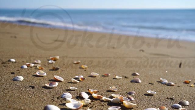 03.20. Евгений Капба - Не читайте советских газет. Книга 3. Эффект бабочки в СССР. смотреть онлайн