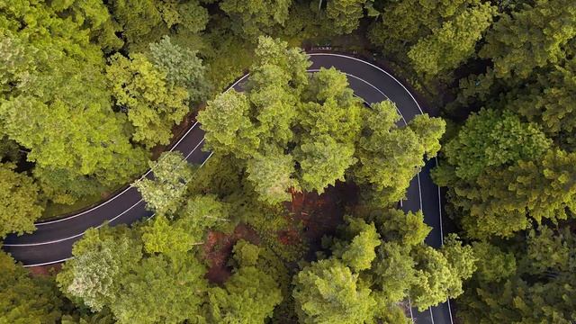 Nuovo brand at смотреть онлайн