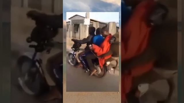 240 СЕКУНД СМІХУ ДЛЯ ГАРНОГО НАСТРІЮ#рекомендации #подпишись #кіт #пес