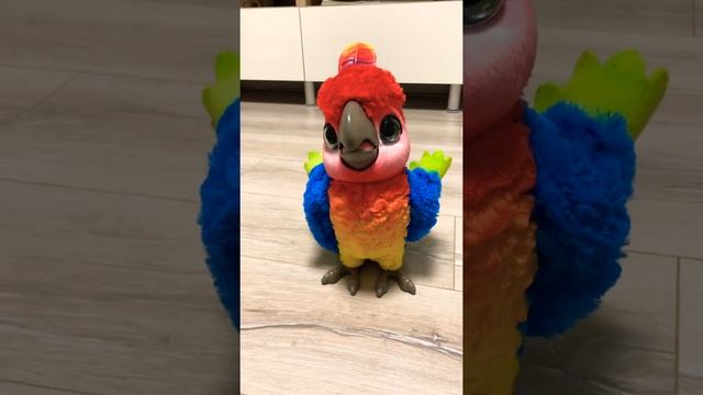 Hasbro Попугай Кеша