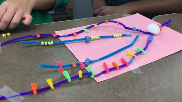 AP Bio DNA Replication Video смотреть онлайн
