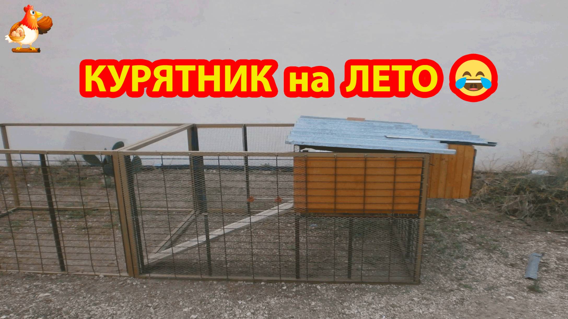 Сделай сам летний курятник на дачу (1) смотреть онлайн