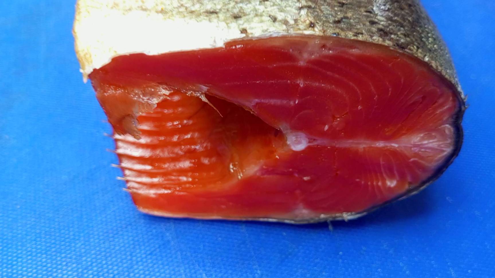 ФОРЕЛЬ ХОЛОДНОГО КОПЧЕНИЯ , ПОТРАШЁНАЯ КОЛОДКА БЕЗ ГОЛОВЫ #boosty смотреть онлайн