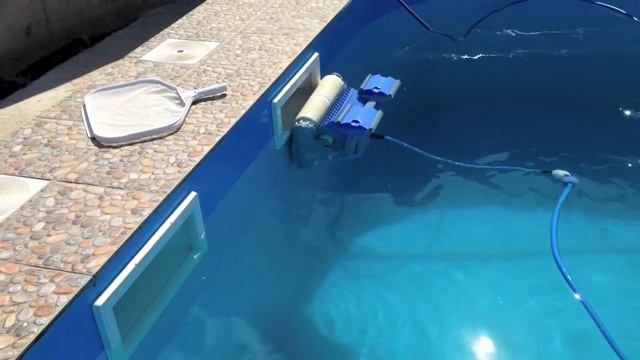 Dolphin смотреть онлайн