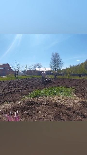 посадка картошки смотреть онлайн