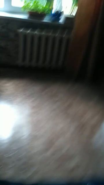 хагги ваги полетел в космос