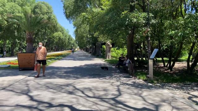 Наш день в Варне, Красный крест