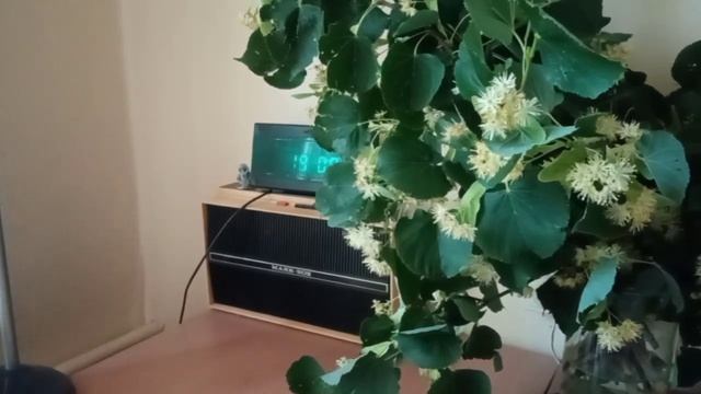 Межпрограммка Радио России. Начало часа. Информационная.