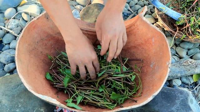 Survival in the rainforest - Man found water spinach with baby egg duck & cooking - Eating deliciou смотреть онлайн