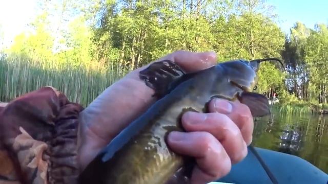 Календарь рыбака на эту неделю с 8 по 15 Августа 2024 Прогноз клева рыбы Лунный Календарь рыбака смотреть онлайн