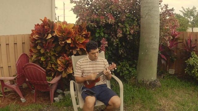 Somewhere Over The Rainbow - Israel "IZ" Kamakawiwoʻole (Stefan Miller Lari Cover) смотреть онлайн