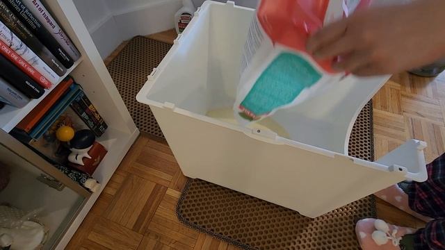 Sustainably Yours Cat Litter & Modkat Flip Litter Box Review смотреть онлайн