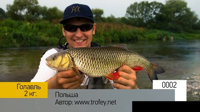 Фотоальбом - Международный №1 смотреть онлайн