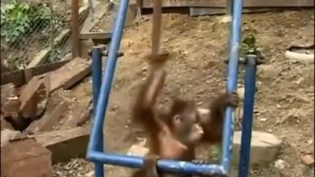 @هضجءزؤبسمبظيا ударился на качелях смотреть онлайн