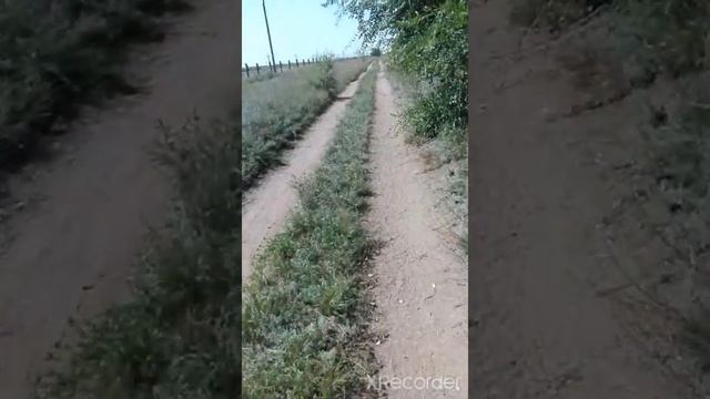 27 августа, пешая прогулка 3 часа, допустят ли до работы без сопли