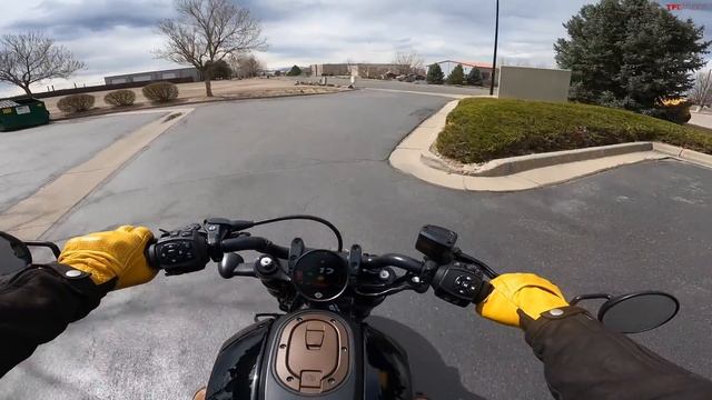 Which Harley-Davidson Sportster Is The Best? We Compare A Sportster S To An Iron 883 To Find Out!