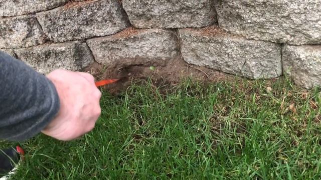The Elusive Mole! смотреть онлайн