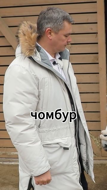 Кто легче договорится? Руководитель или подчиненный смотреть онлайн