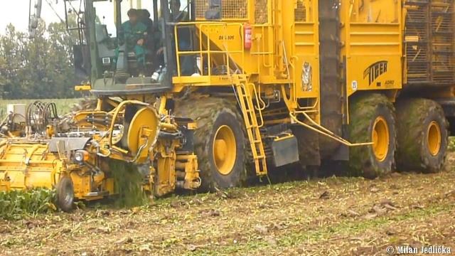 NEW Ropa Euro Tiger V8-3 | original sound machines смотреть онлайн