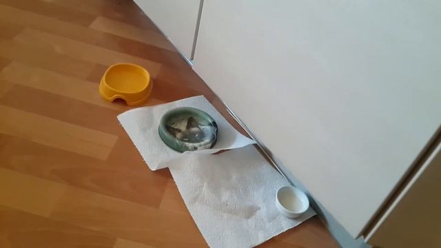Маси больше нет. смотреть онлайн