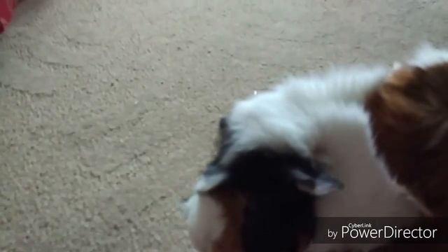 Мини фильм про природу) смотреть онлайн