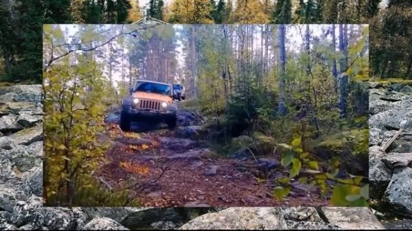 #213. Jeep Wrangler Rubicon на бездорожье