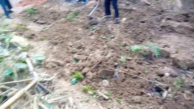 Ba sniew palat ka surok mih ki rangbah da kaba rah bad ka puhshilum. смотреть онлайн