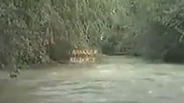 Таваккал Кодиров смотреть онлайн