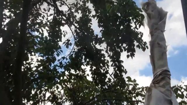 Как сделать гнезда за 5минут.В гостях у Олюшки смотреть онлайн