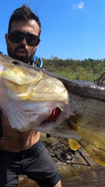 Unexpected MONSTER BITE! 30" GIANTS Fishing Tiny Creek #shorts смотреть онлайн