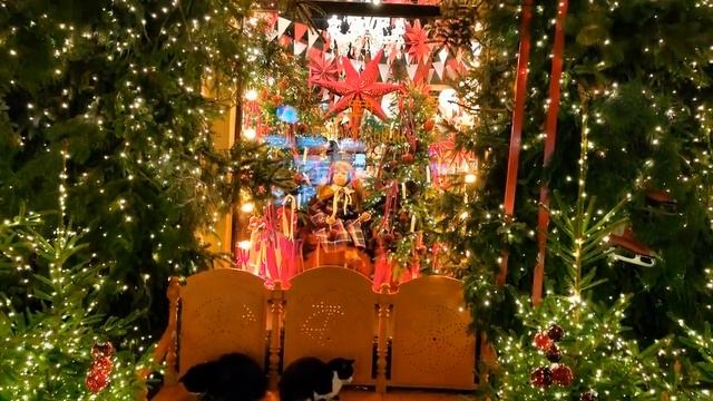 Предрождественский Зеленоградск смотреть онлайн