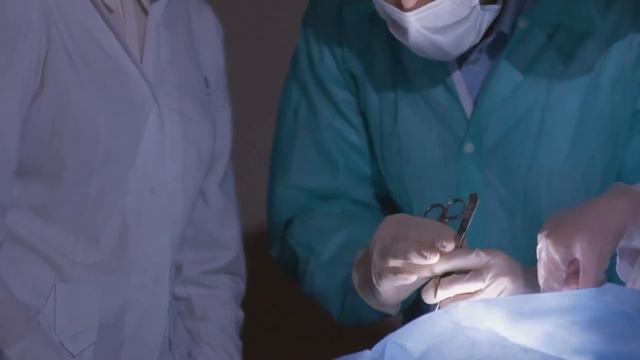 Qu'est ce que la cirrhose de Laennec? смотреть онлайн