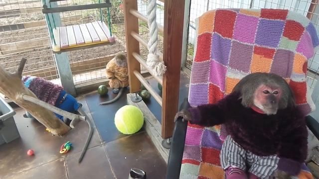 первые теплые денечки) смотреть онлайн