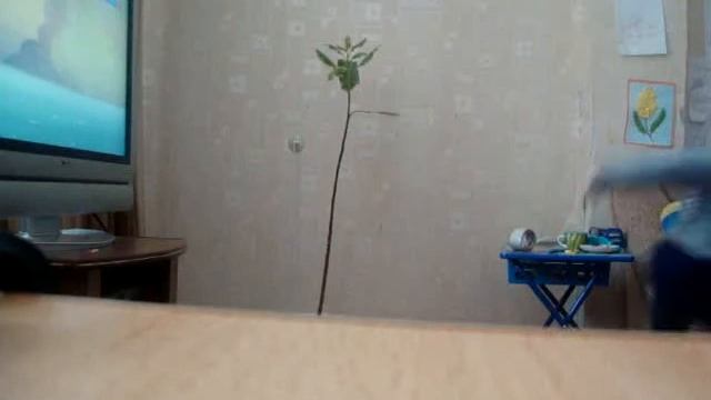 Мальчик(Максим)жгет жесть!!!!!!.MPG смотреть онлайн